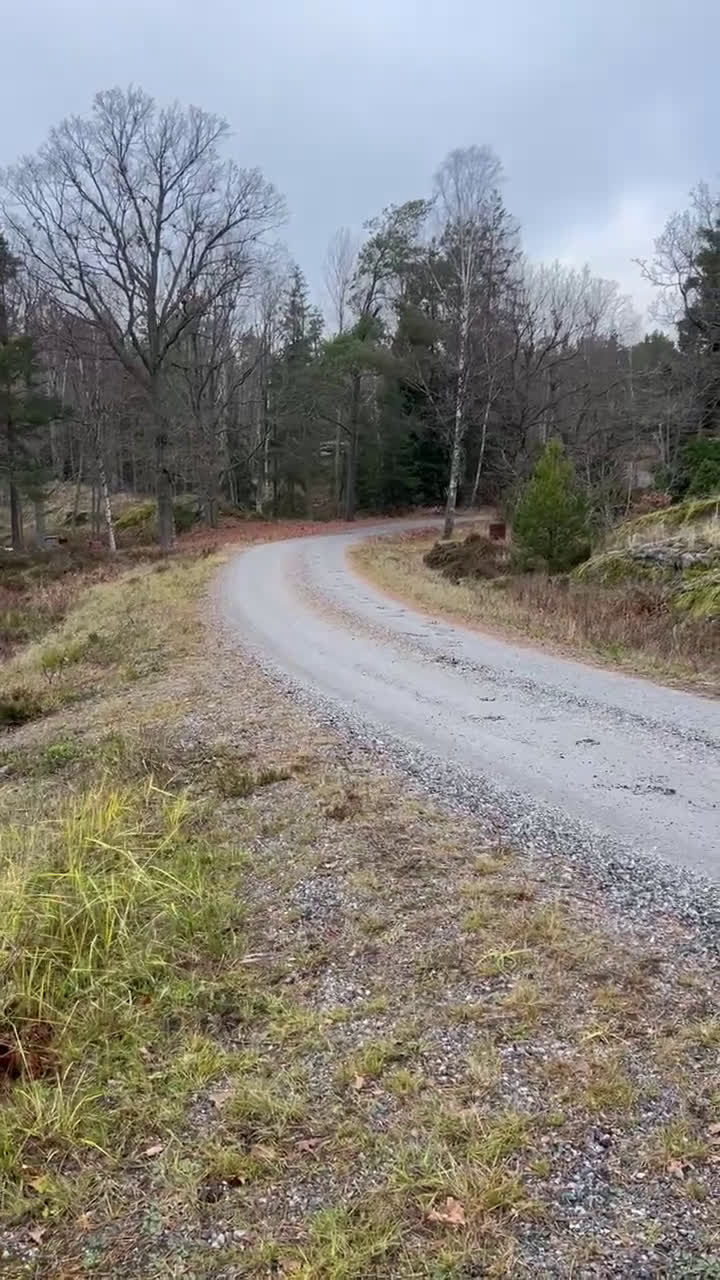 Allround hästar till salu: Till uteritt / hoppning  - Video 1