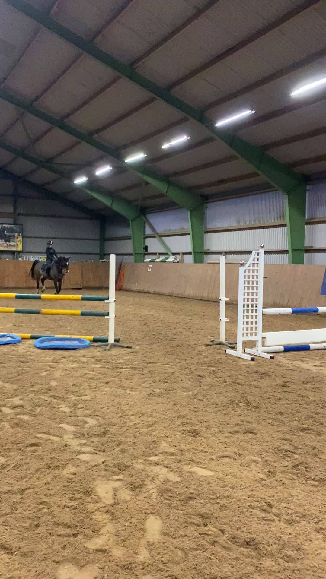 Hoppning hästar till salu: Välhoppande valack med stor kapacitet - Video 3