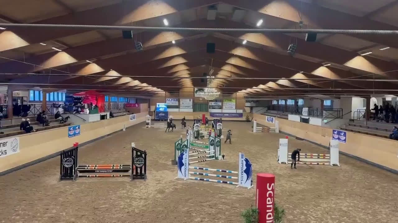 Hoppning hästar till salu: En fantastisk c ponny i Löddeköpinge - Video 3