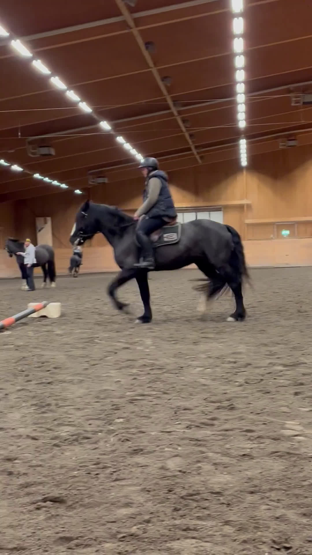 Allround hästar till salu: Fin ridhäst - Video 1