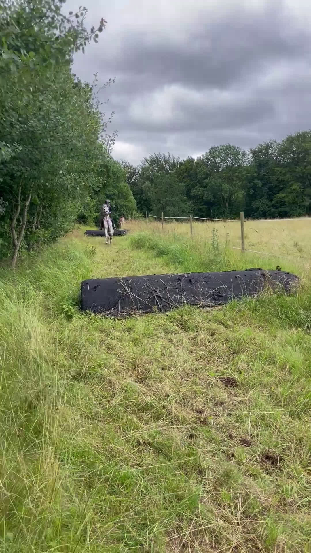 Hoppning hästar till salu: Kvalitetsponny  i Vellinge - Video 4
