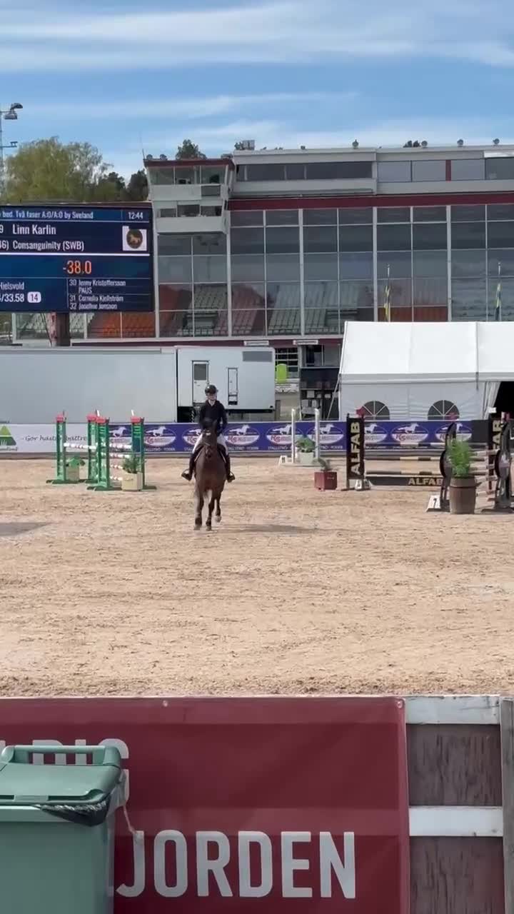 Hoppning hästar till salu: Härligt välhoppande sto - perfekt för children🌸 - Video 2