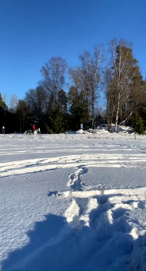 Allround hästar till salu: Fina Stella i Almunge - Video 1