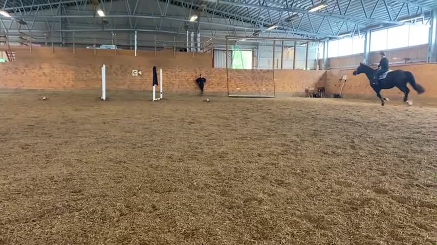  hästjobb finnes: Stalljobb sökes fr.o.m september! i Göteborg - Video 1