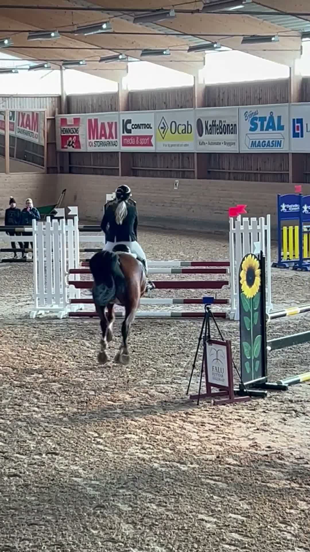 Allround hästar till salu: Fantastisk valack med stort hjärta 💛 - Video 1