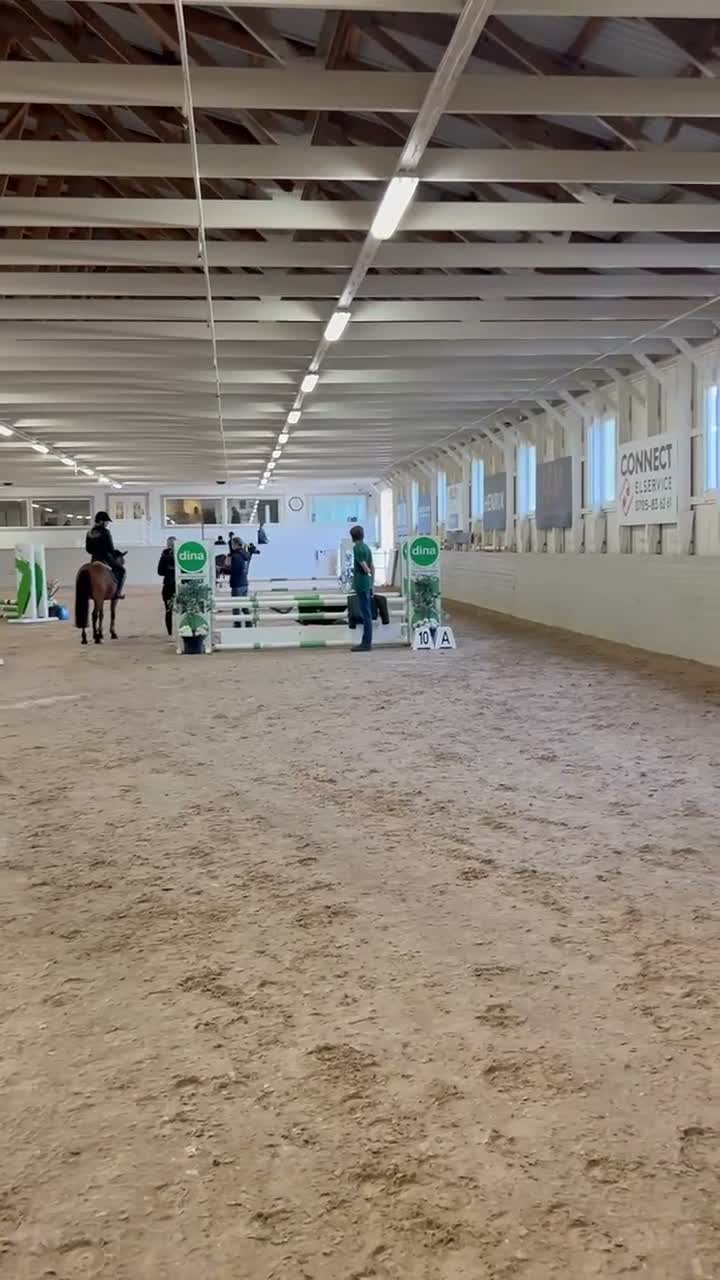 Allround hästar till salu: Supergullig vänlig b ponny i Jönköping - Video 3