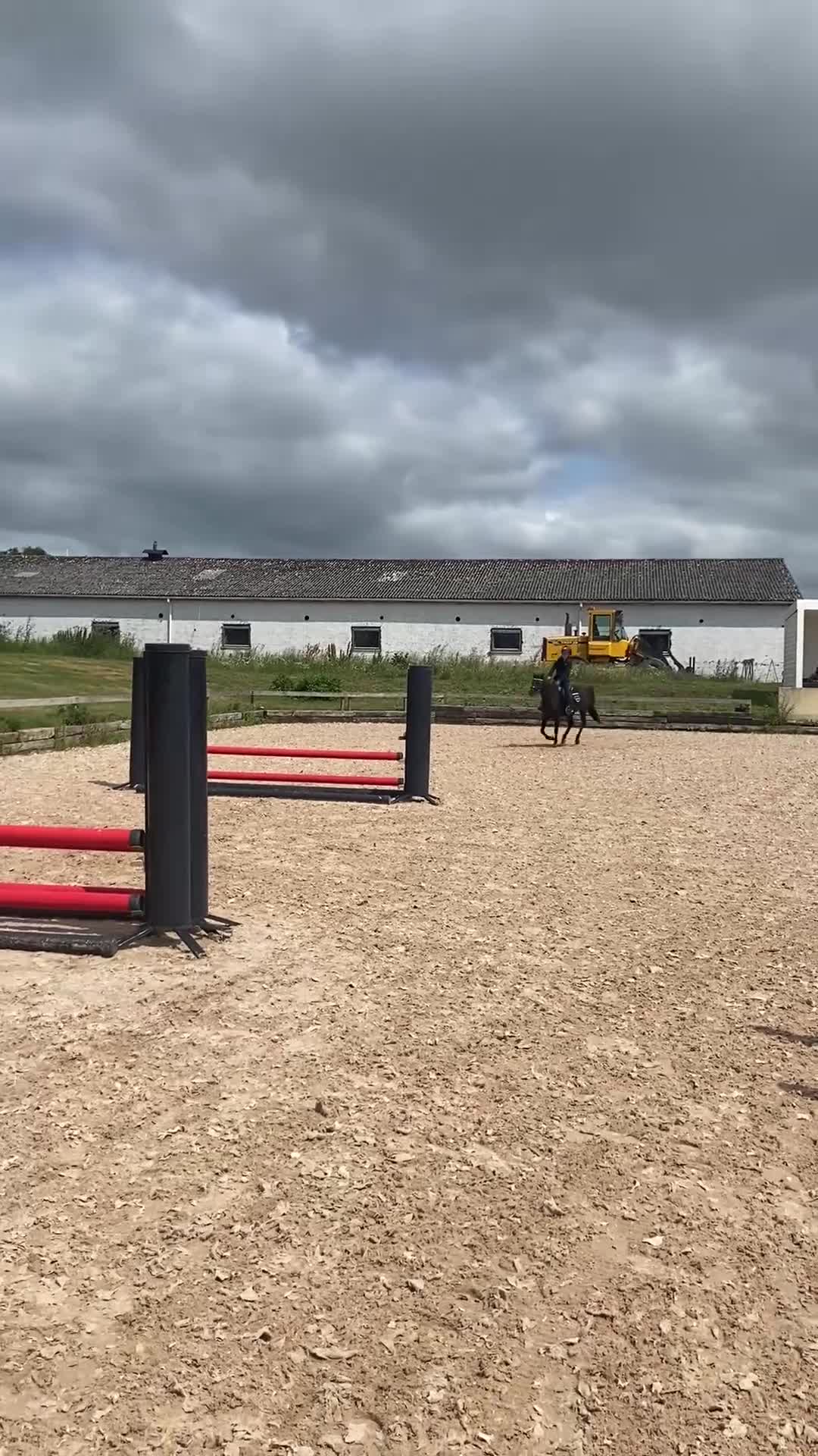 Allround hästar till salu: Fin B-ponny  - Video 1