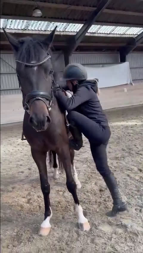 Allround hästar till salu: Take a chance on me!!!!  - Video 2