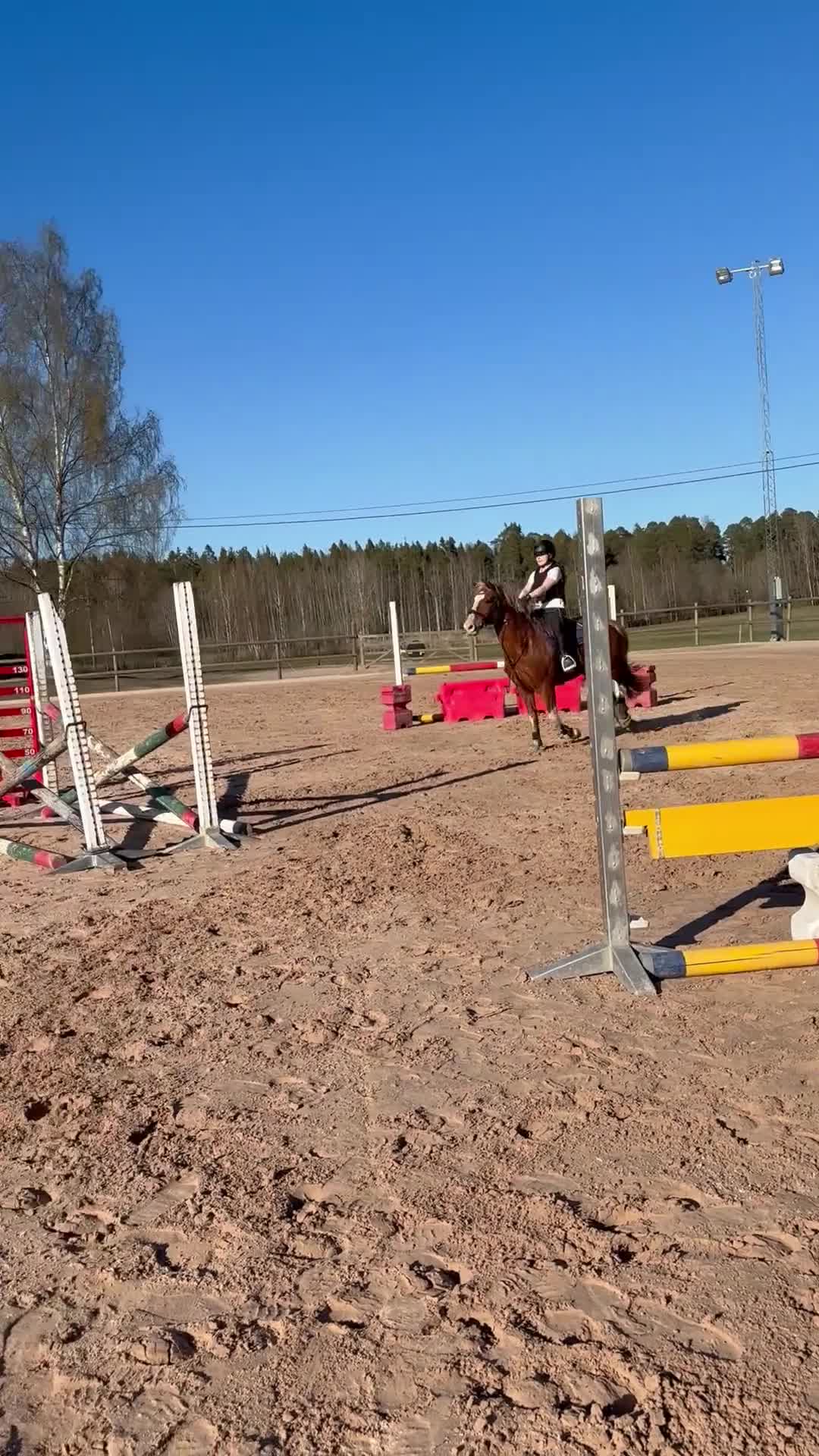 Allround hästar till salu: Vacker maxad c-ponny - Video 3