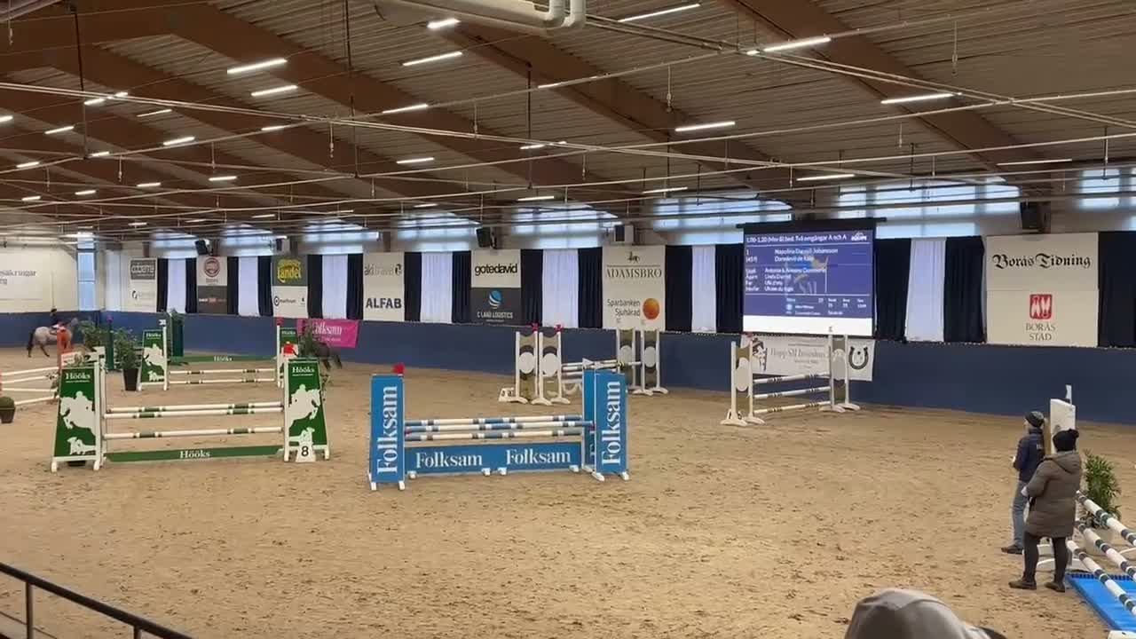 Hoppning hästar till salu: Sagoponny kat B i Rönninge - Video 1