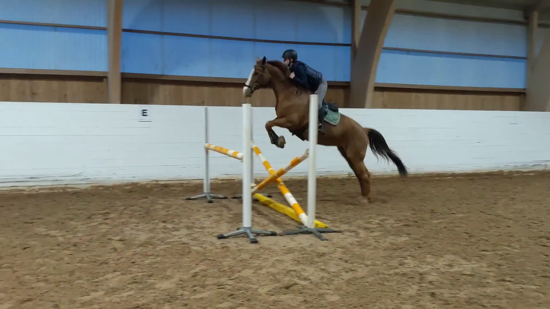 Allround hästar till salu: Trevlig allroundhäst i Avesta - Video 2