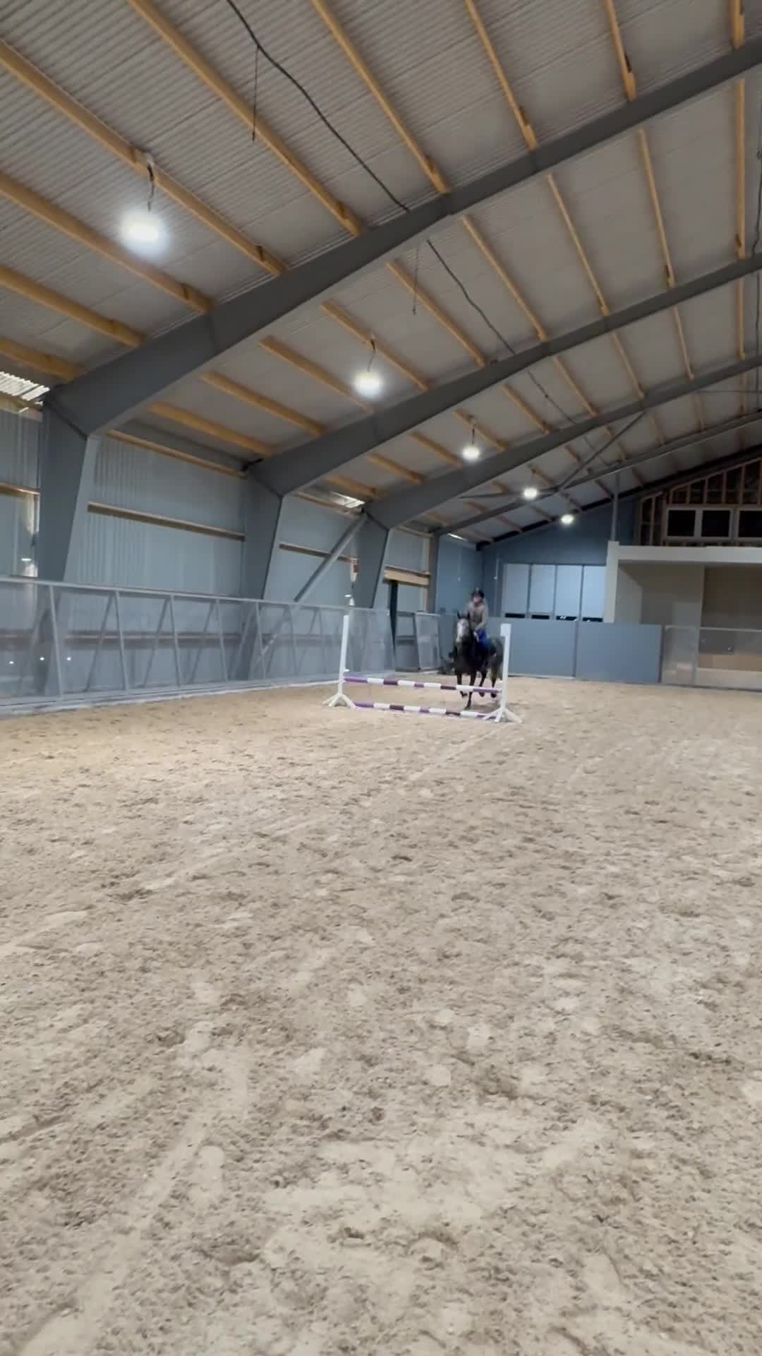 Allround hästar till salu: Snäll och arbetsvillig D-ponny - Video 4