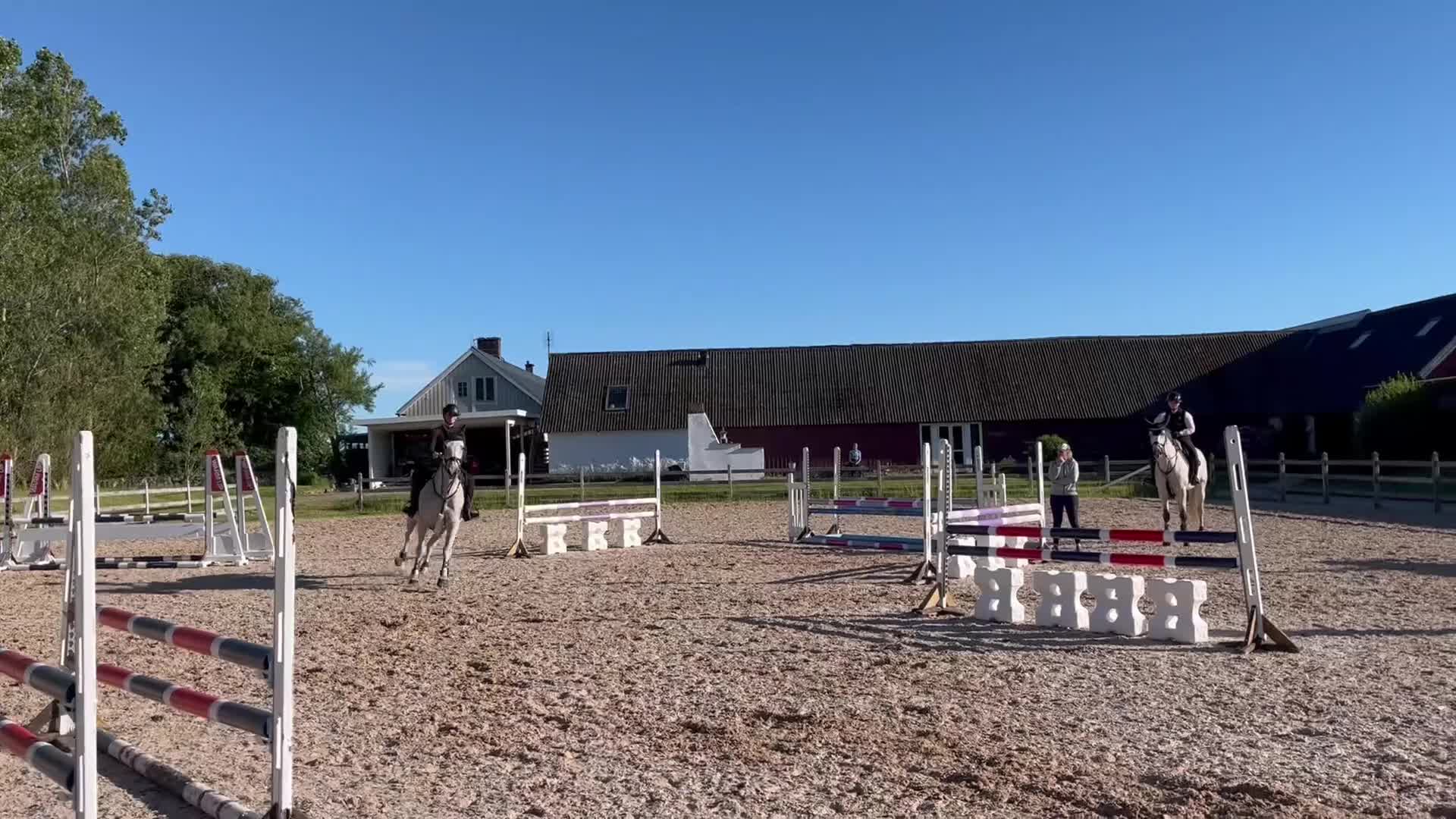 Avelshästar hästar till salu: Ridbar avelhäst - Video 2
