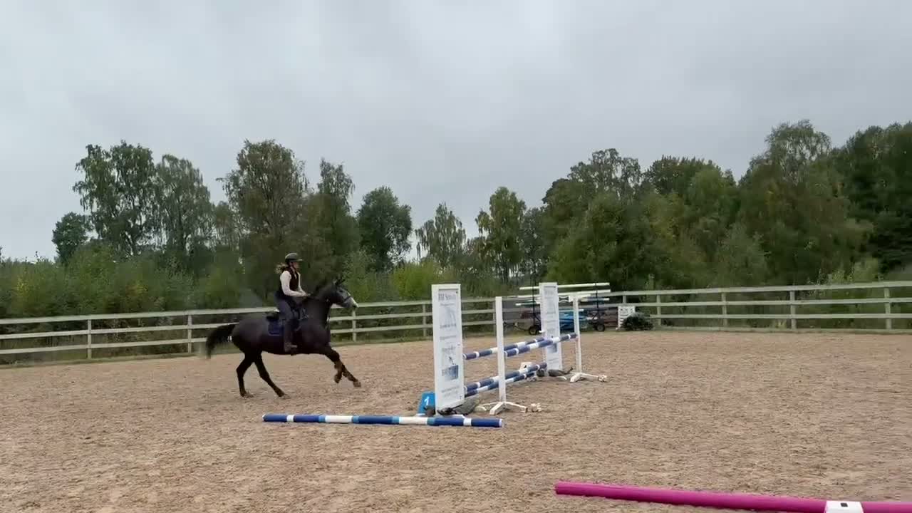 Hoppning hästar till salu: Trevlig 4årigt sto - Video 1