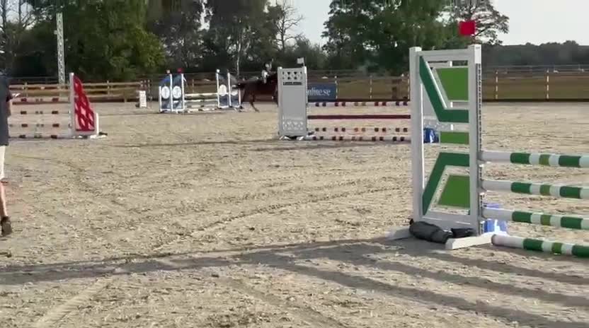 Hoppning hästar till salu: Super läromästare  - Video 3