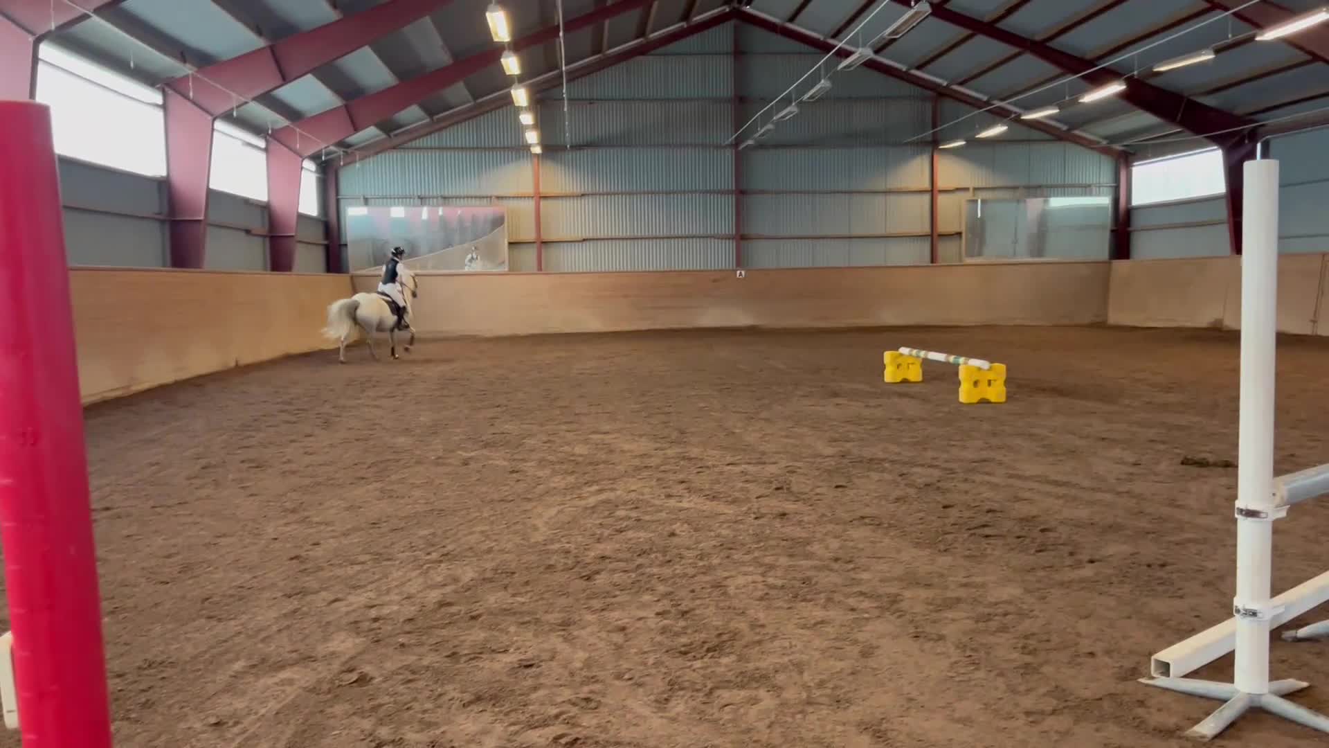 Allround hästar till salu: Mr Grey - Video 1