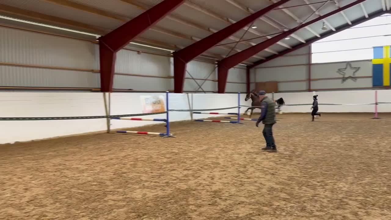 Hoppning hästar till salu: 2-årigt sto e. Emerald  - Video 1