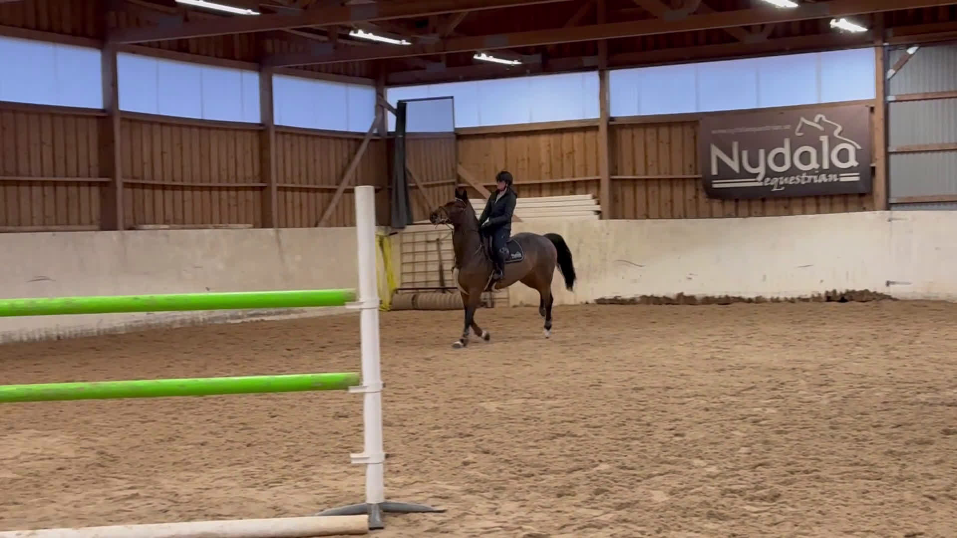 Hoppning hästar till salu: Två superfina hoppston i Sandhem - Video 3