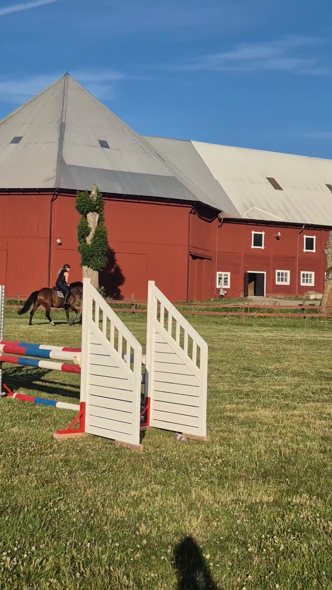 Hoppning hästar till salu: Fantastisk hobby/tävlingskompis efter Kannan  i Linköping - Video 4