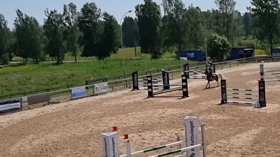 Allround hästar till salu: Läromästare till satsande  - Video 1