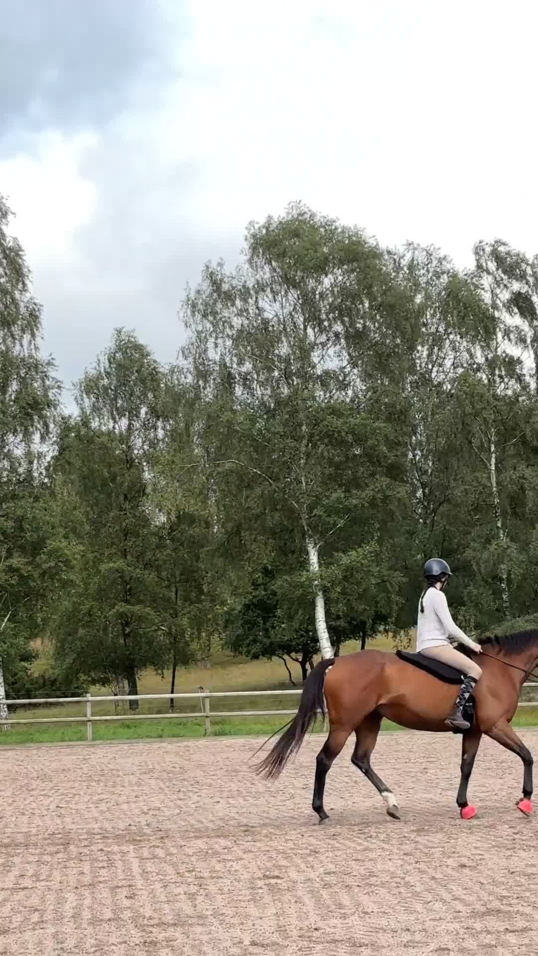 Allround hästar till salu: Världens snällaste sto - Video 2