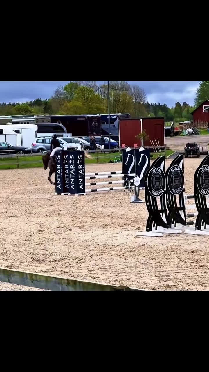 Hoppning hästar till salu: Vackert sto i Vikbolandet - Video 1