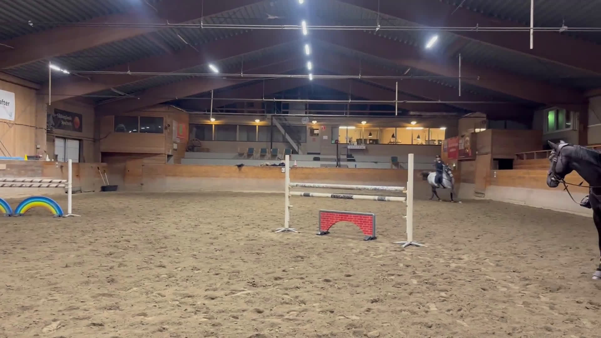 Hoppning hästar till salu: Rolig tävlingskompis i Hudiksvall - Video 1