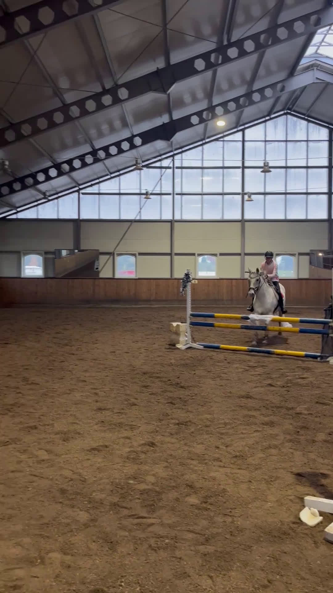 Hoppning hästar till salu: Rolig allroundponny i Norrköping - Video 5