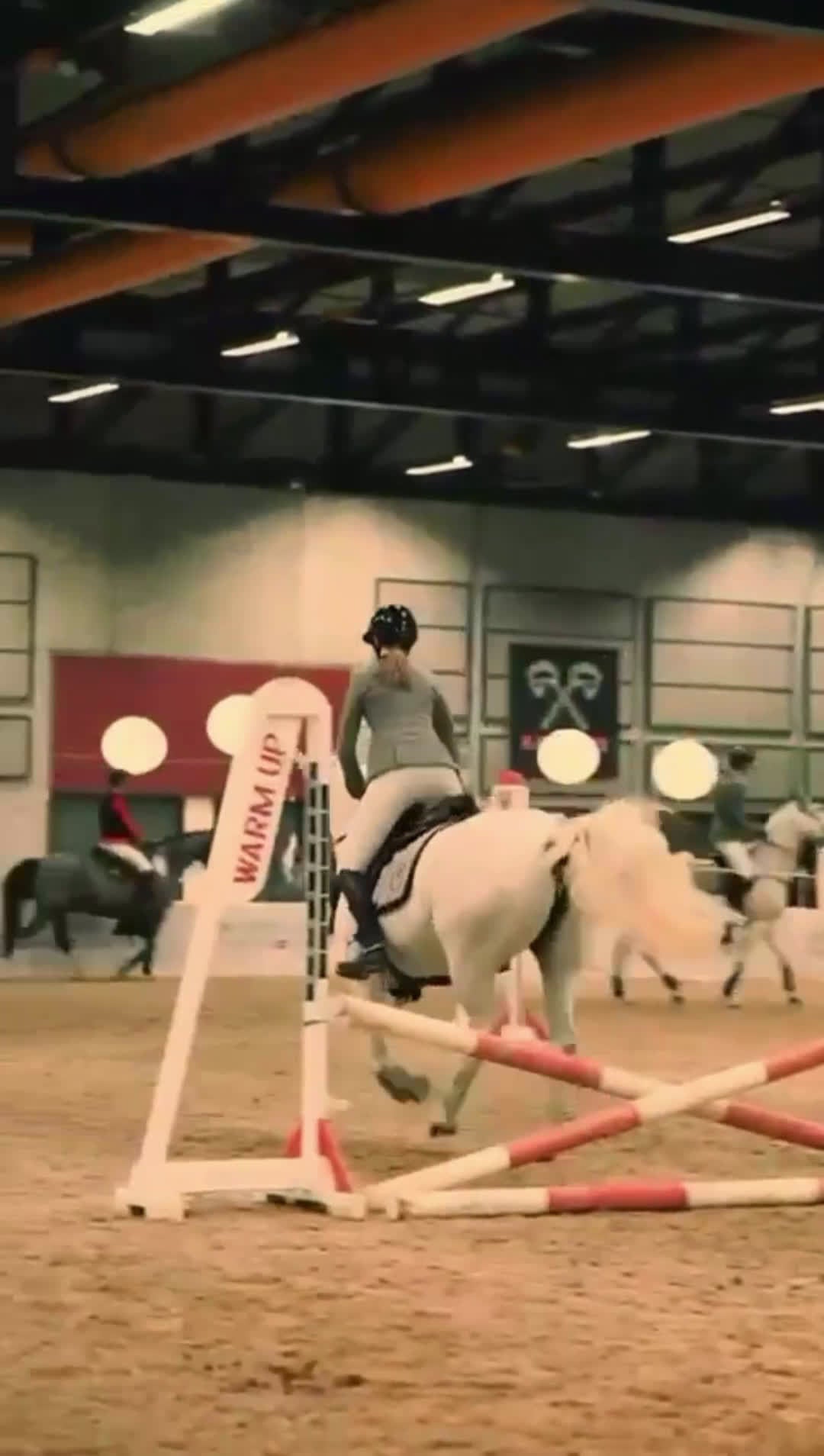 Hoppning hästar till salu: Lislap Freda - Video 2