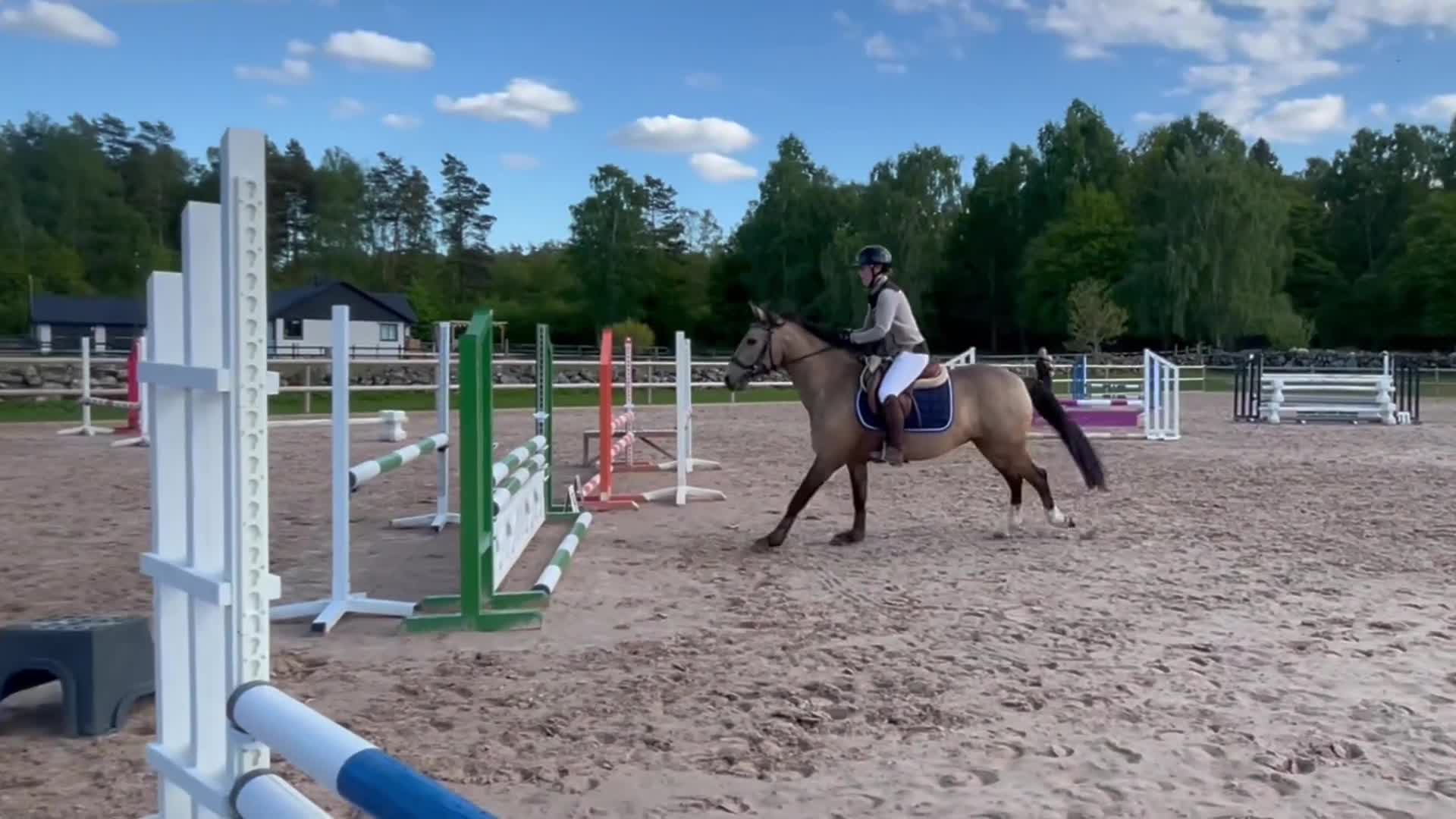 Hoppning hästar till salu: Talangfull D-ponny - Video 1