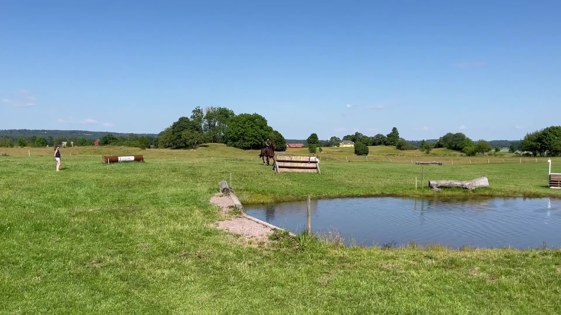 Fälttävlan hästar till salu: Fin fälttävlansponny för mästerskap  - Video 2
