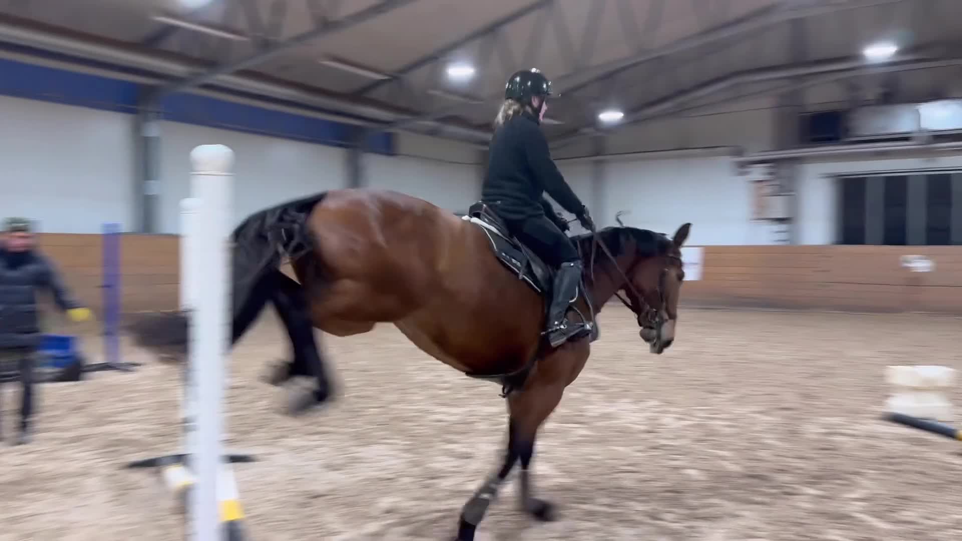 Hoppning hästar till salu: Trevligt sto - Video 2