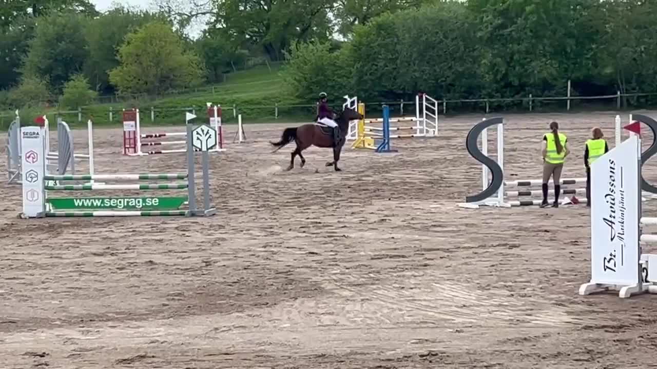 Allround hästar till salu: Libertti maxad D-ponny söker nytt hem  - Video 3