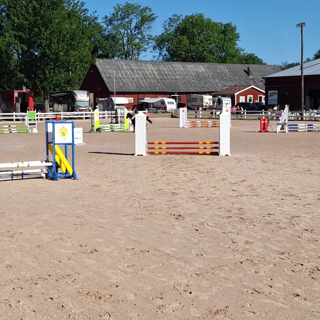 Allround hästar till salu: Fantastisk läromästare med ett hjärta av guld - Video 1