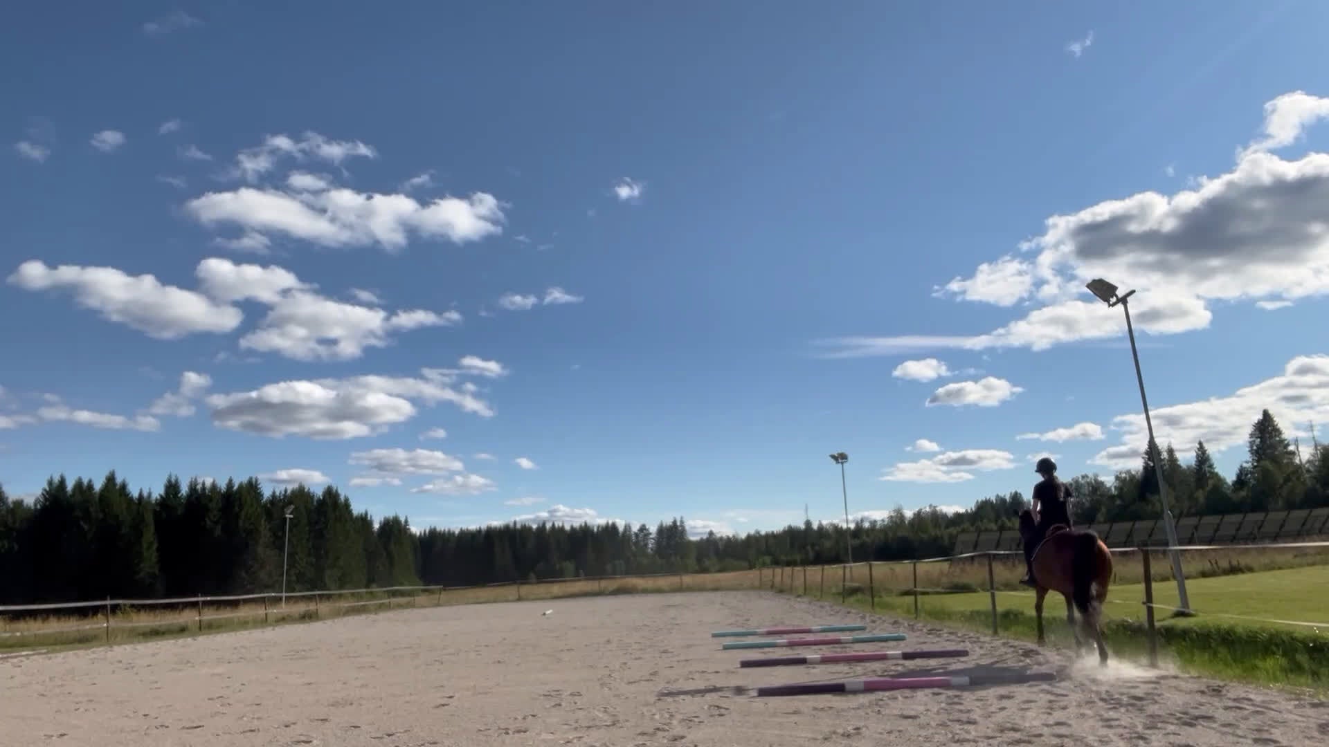 Allround hästar till salu: Ridtravare för hobbyridning i Storfors - Video 1