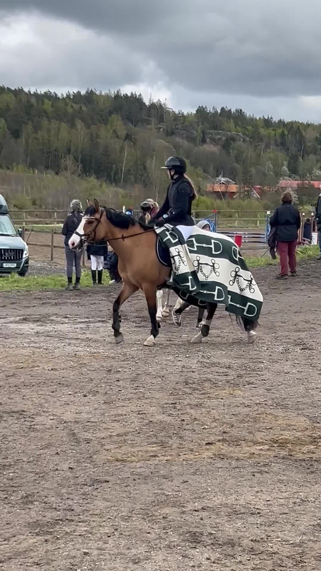 Allround hästar till salu: Ponny med stor potential  - Video 1