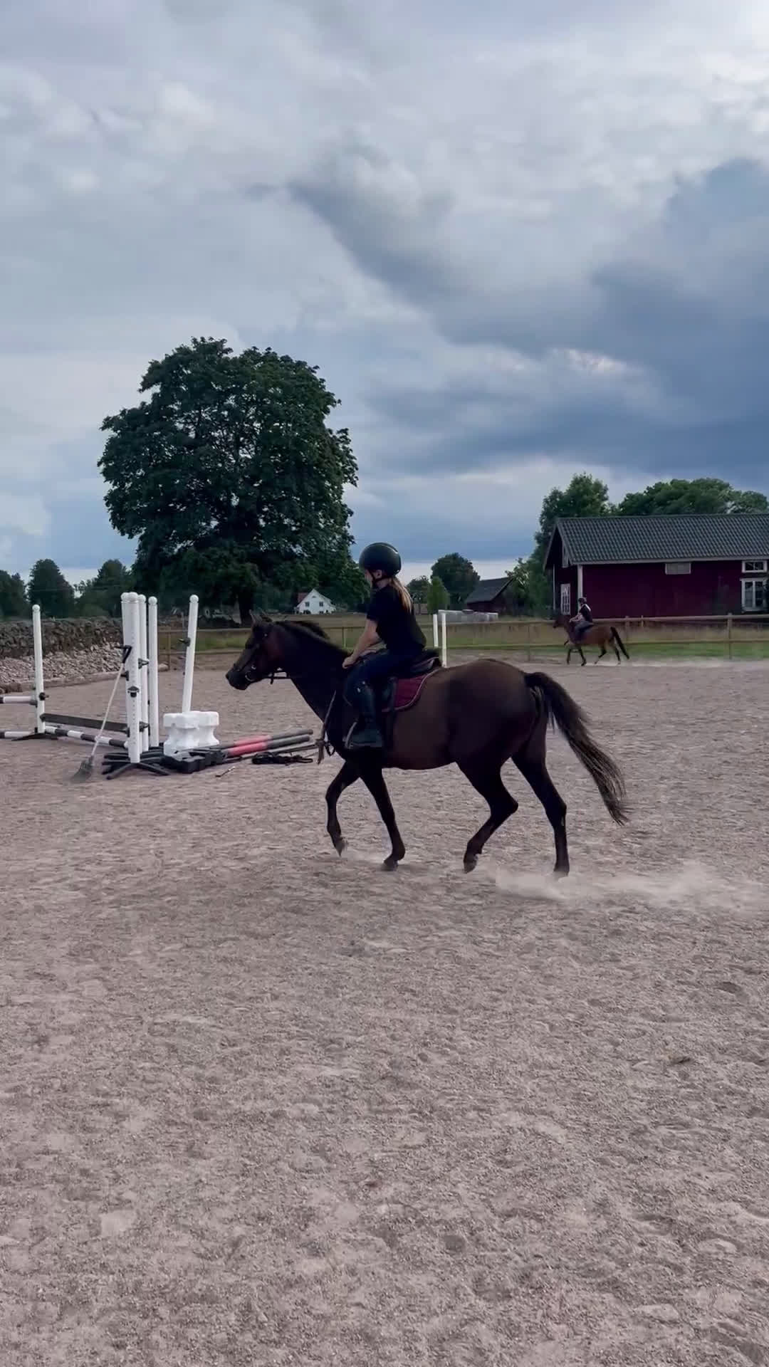 Allround hästar till salu: Ungponny att utvecklas med 🌸 i Gislaved - Video 3