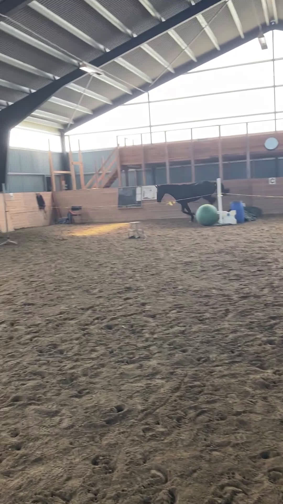 Dressyr hästar till salu: Snäll och talangfull kille efter Janeiro Platinum  i Knivsta - Video 2
