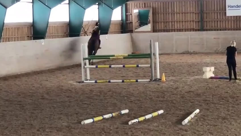 Hoppning hästar till salu: Trevlig hopp/fälttävlanshäst i Sunne - Video 2