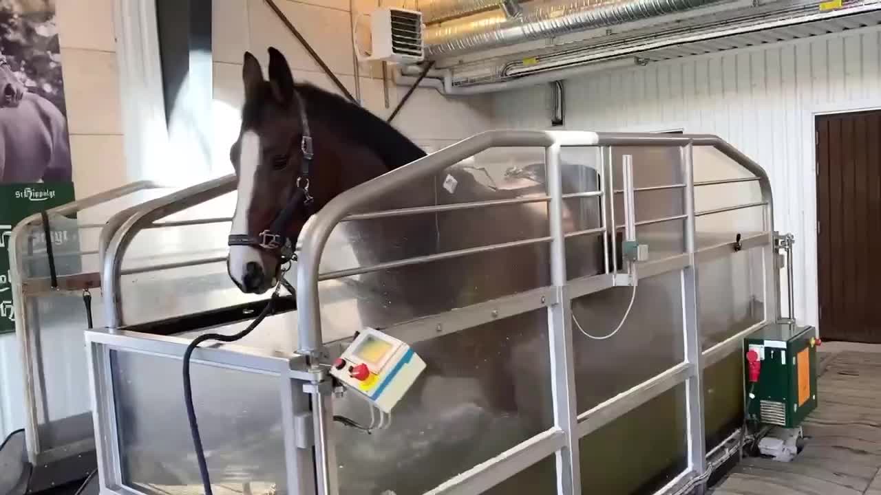  hästservice finnes: Sommarrea 40%! Vattenbandsträning!🌊 - Video 2