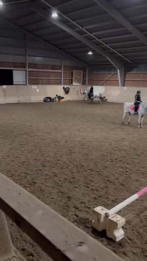 Allround hästar till salu: Världens bästa kompis - Video 1