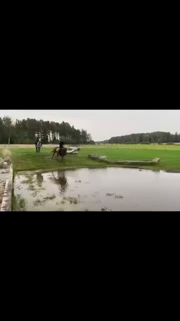 Allround hästar till salu: UTVECKLINGSBAR D-PONNY i Vintrosa - Video 2