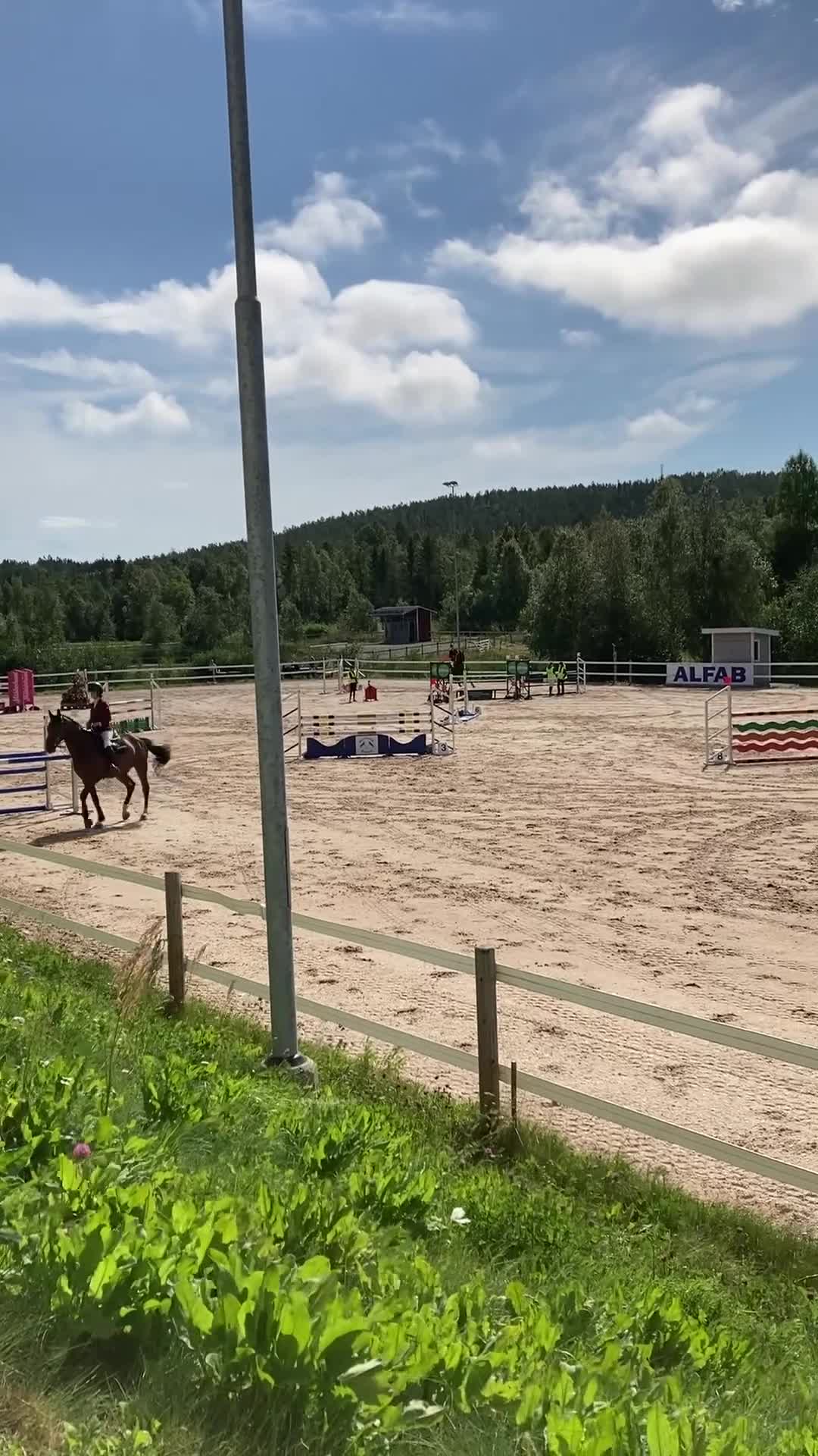 Allround hästar till salu: Lyxig hobbyhäst med ett hjärta av guld i Bonässund - Video 4