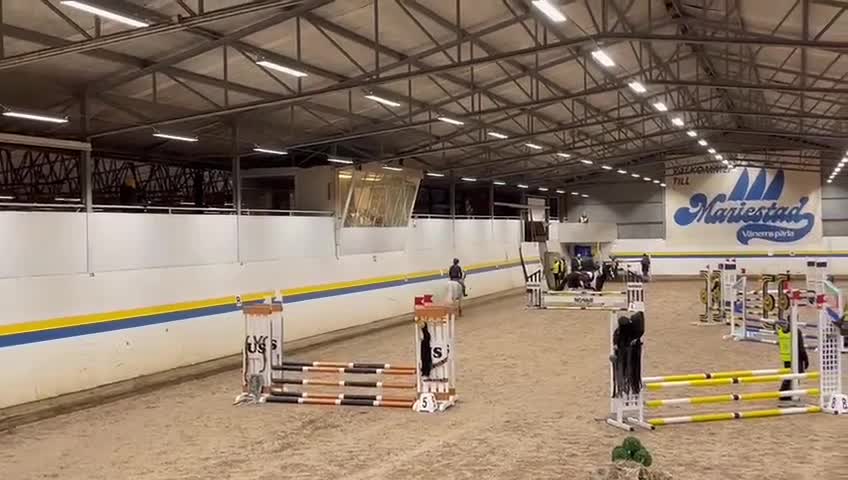 Allround hästar till salu: Charmig kille med hjärta av guld!💙🚀 i Varberg - Video 1