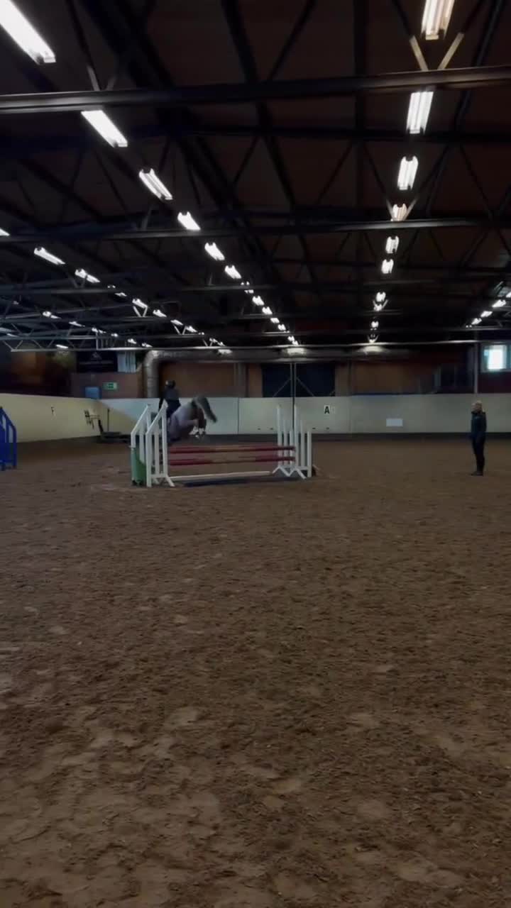 Hoppning hästar till salu: En bästa vän - svenskfödd Welsh ponny  - Video 3