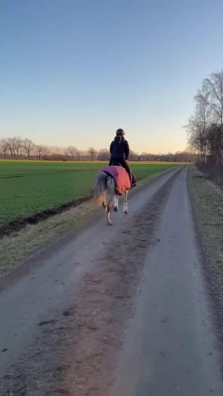 Övrigt hästar till salu: Vill du bli Smokeys nya bästis?  i Viken - Video 2