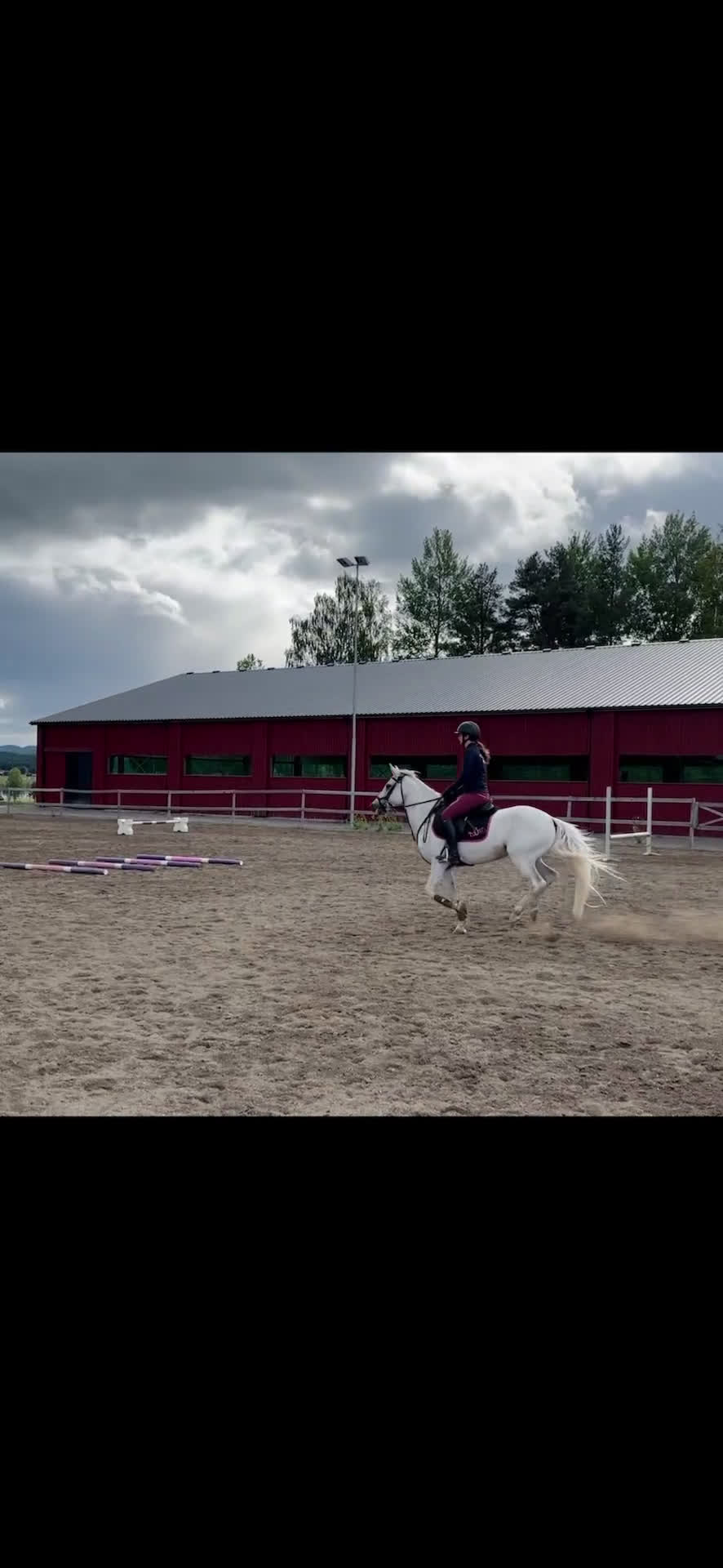 Hoppning hästar till salu: Super fin c ponny connemara  i Delsbo - Video 3