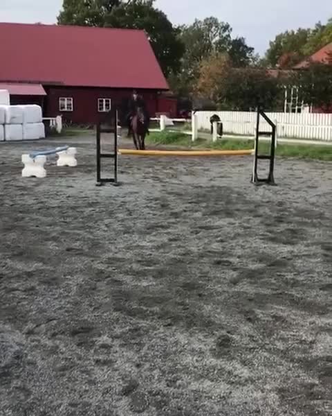  medryttarhäst finnes: Medryttare sökes till Woody - Video 4