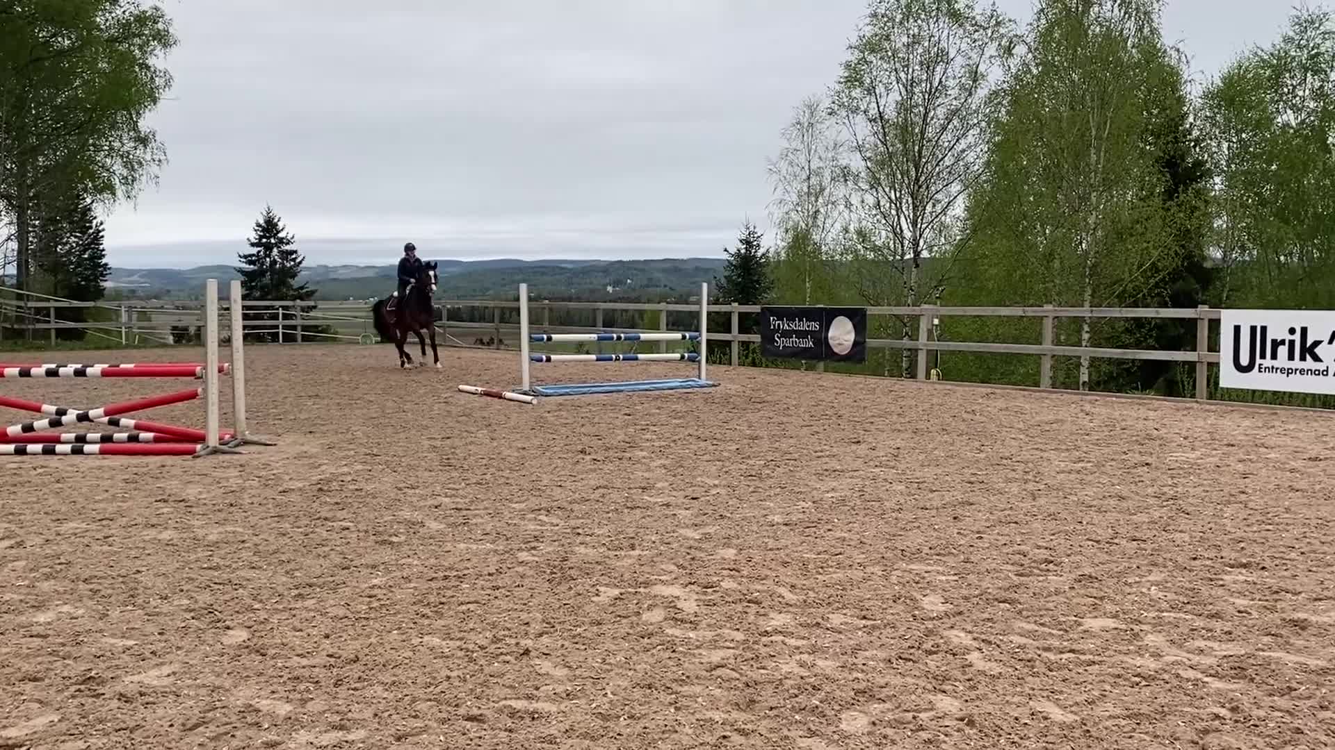 Allround hästar till salu: SWB valack söker rutinerad ryttare  - Video 2