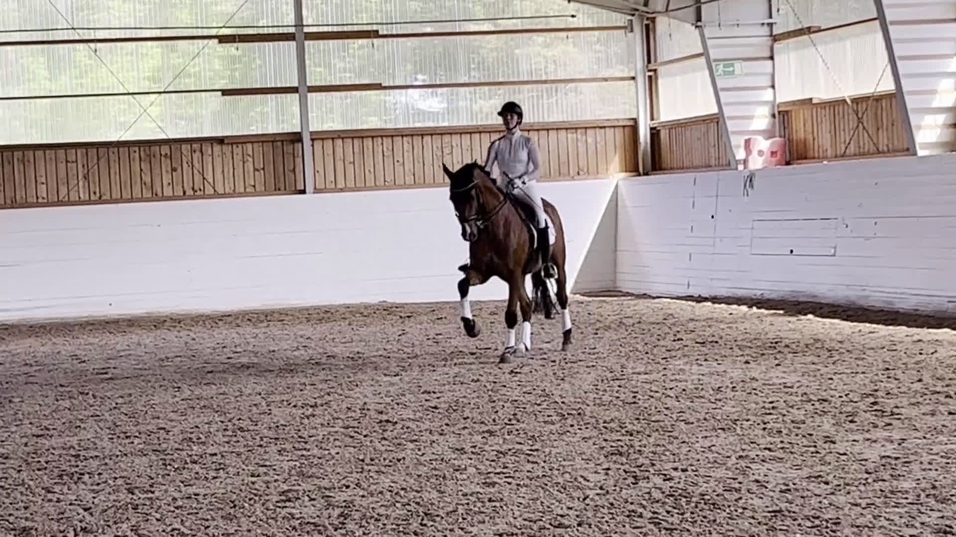 Dressyr hästar till salu: Dressyrhäst med utstrålning  i Linköping - Video 3